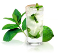 ������ ��� Mojito